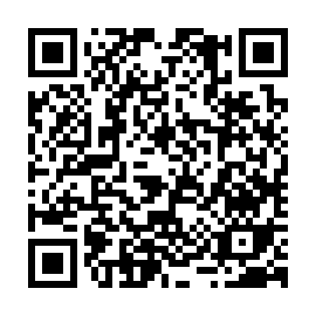 QR code for 29233