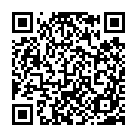 QR code for 293-667