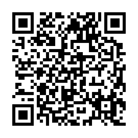 QR code for 29333