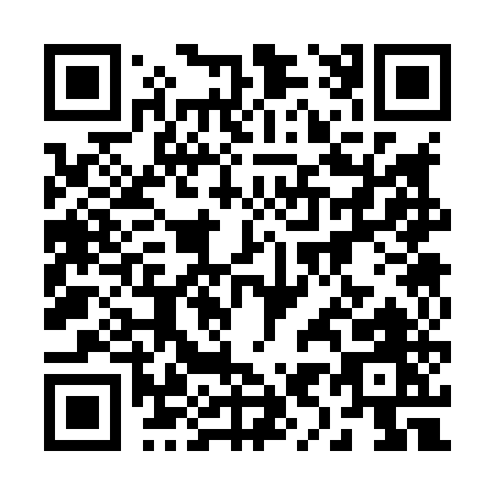 QR code for 29385