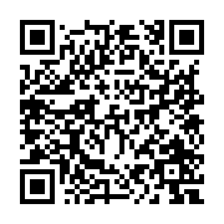 QR code for 29390