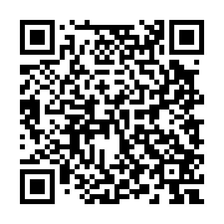 QR code for 294003