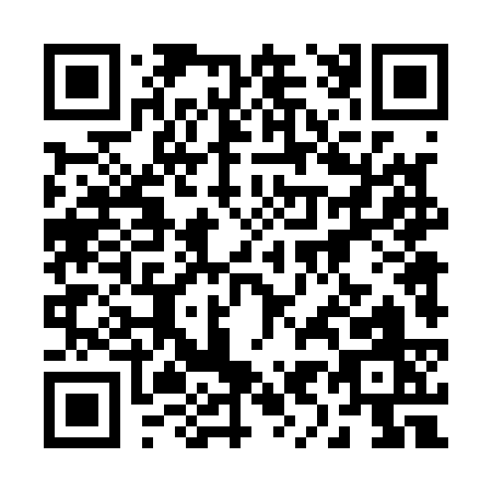 QR code for 29413