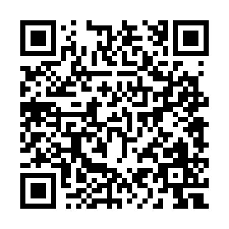 QR code for 29431