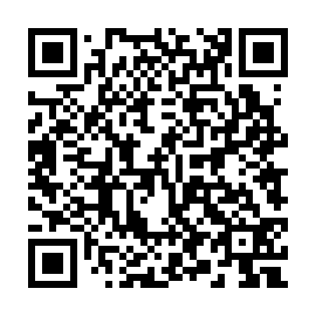 QR code for 294332