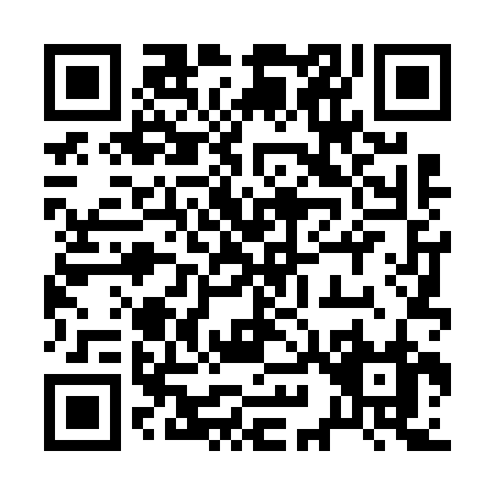 QR code for 29462