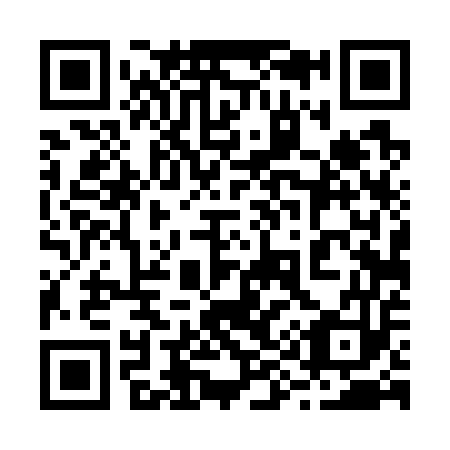 QR code for 294753