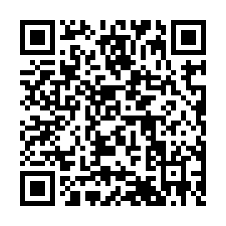 QR code for 29498