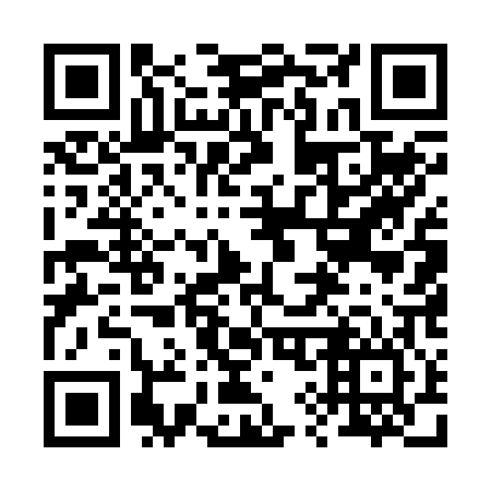 QR code for 295-206