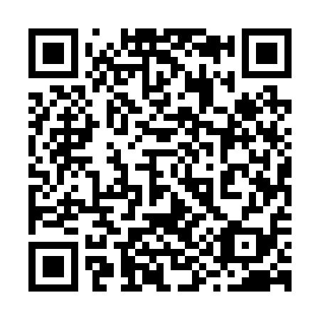 QR code for 295-219