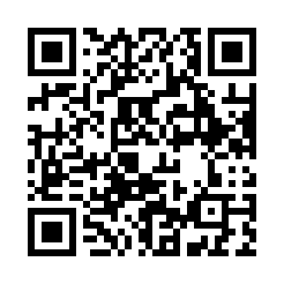 QR code for 295