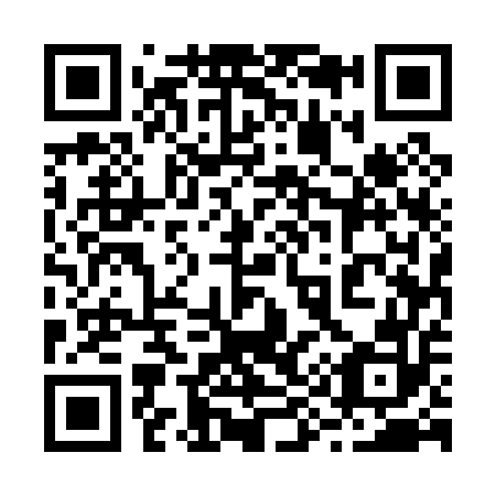 QR code for 295052