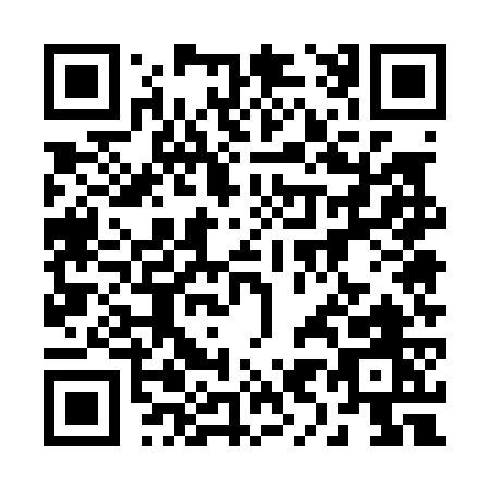 QR code for 29507