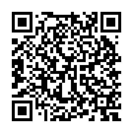 QR code for plate 295-250