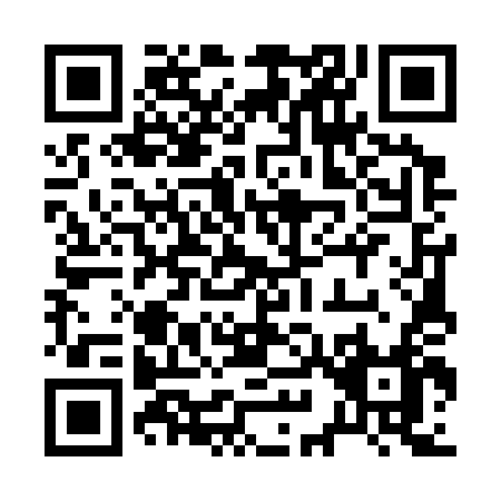 QR code for 29534