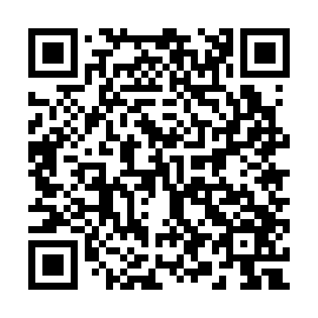 QR code for plate 295-346