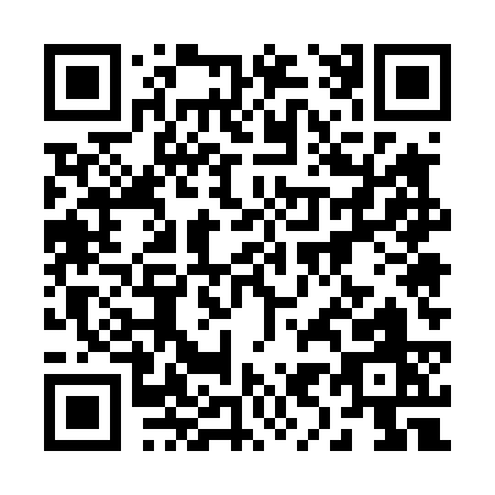 QR code for 29543