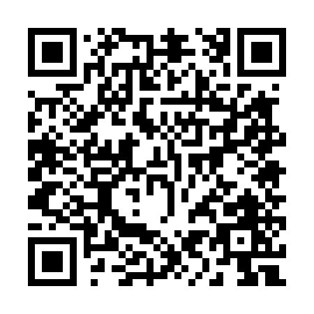 QR code for 29545
