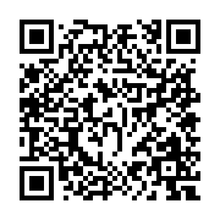 QR code for 29551