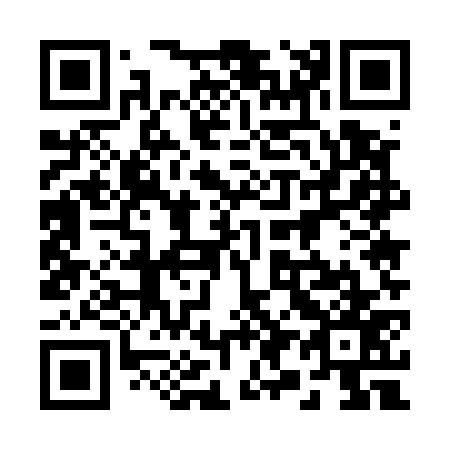 QR code for 295577
