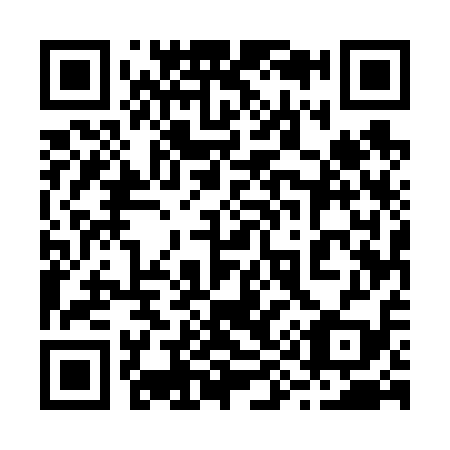 QR code for 295619