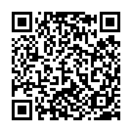 QR code for 295650