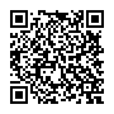 QR code for plate 295-823