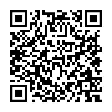 QR code for 29593