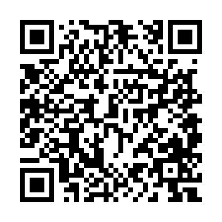 QR code for 29618