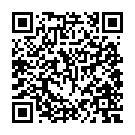 QR code for 29625