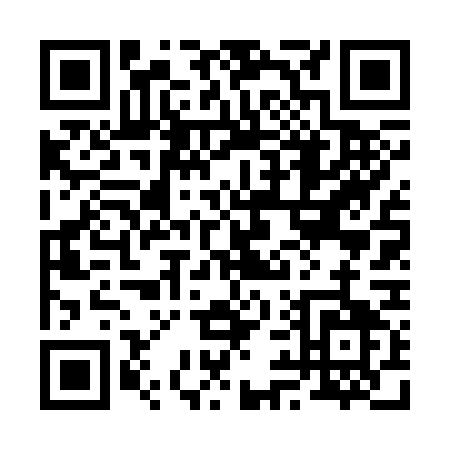 QR code for 29637