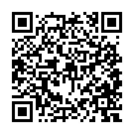 QR code for 29638