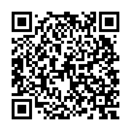 QR code for plate 296-655