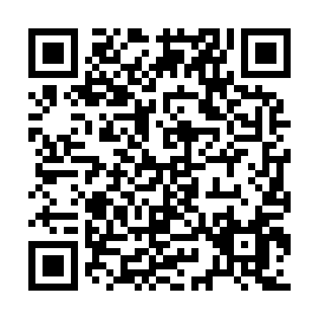 QR code for 29691