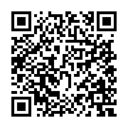 QR code for 29711