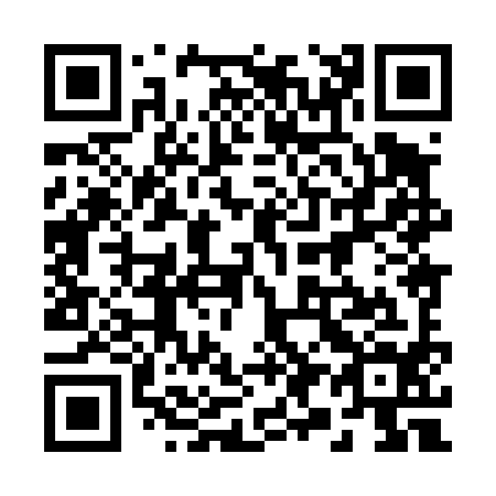 QR code for 298-494