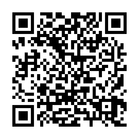 QR code for plate 299-128