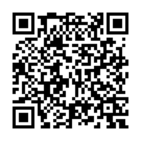 QR code for 2993