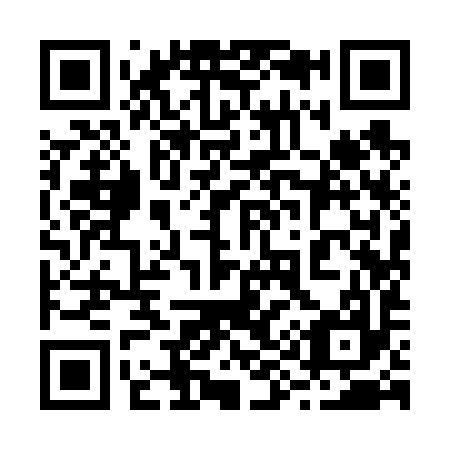 QR code for plate 299-697