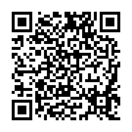 QR code for 29995