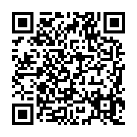 QR code for 29998