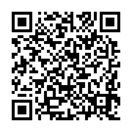 QR code for 300393
