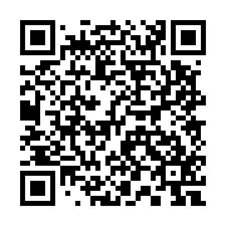 QR code for 300517