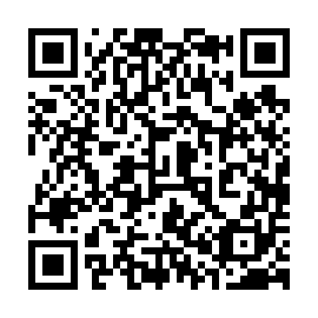 QR code for plate 300-650