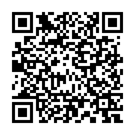 QR code for 3007