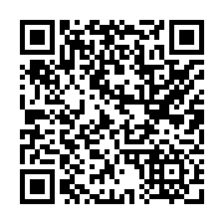 QR code for 300877