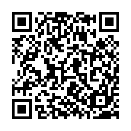 QR code for plate 301-017