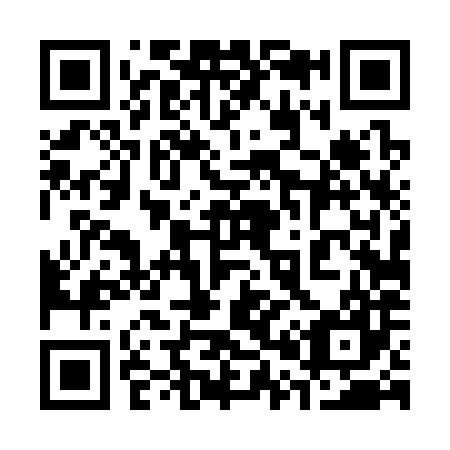 QR code for plate 304-387