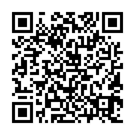 QR code for 305-541