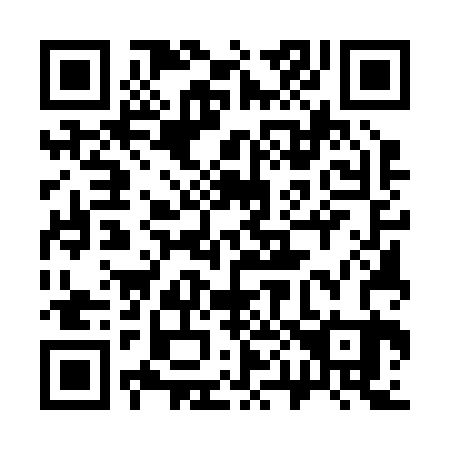QR code for 305223